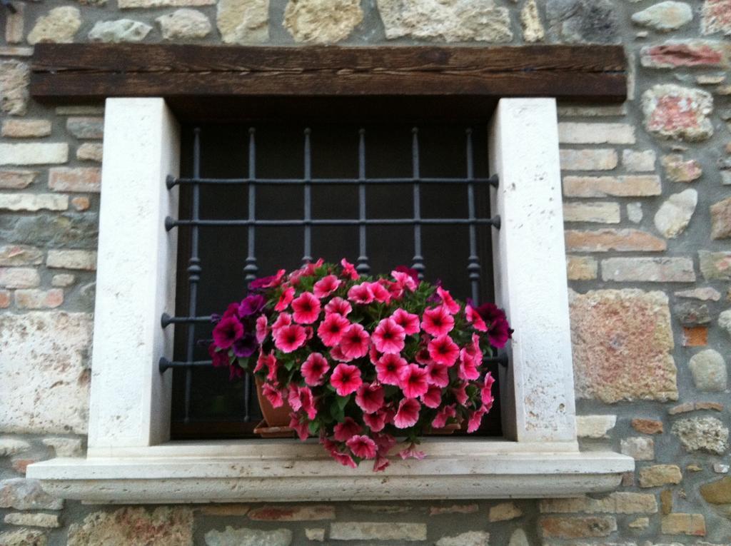 Agriturismo La Cantina Ascoli Piceno Eksteriør billede