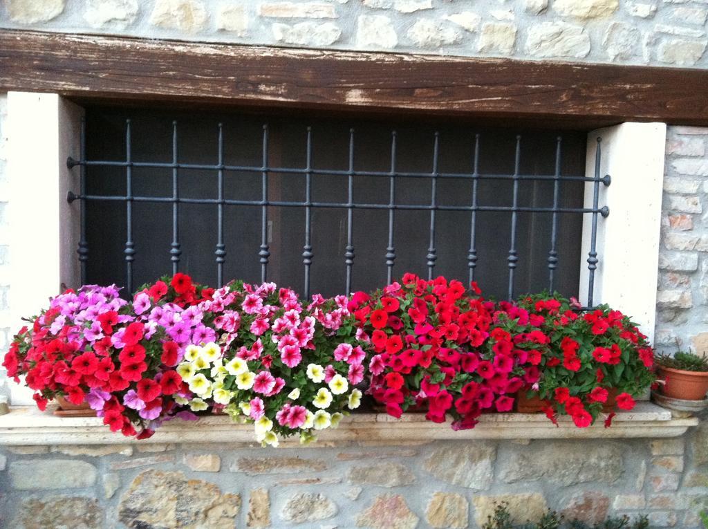 Agriturismo La Cantina Ascoli Piceno Eksteriør billede